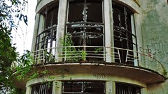 Trees graffiti vegetation ruins abandoned buildings cityscapes