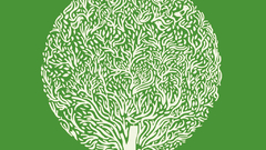 Trees graphic Art nature