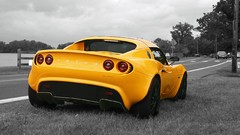 Trees grass cars lotus fences vehicles streets selective 