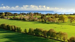 Trees grass Green New Zealand skyscapes