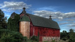 Trees grass HDR Photography skyscapes