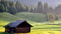 Trees grass Mountains Green hut Wood medow