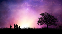 Trees grass purple silhouettes