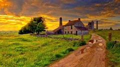 Trees grass roads houses skies scenic