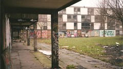 Trees grass United Kingdom buildings cities cityscapes