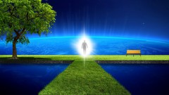 Trees grass wall Earth outer space