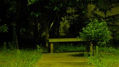 Trees Green bench Garden