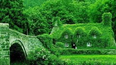 Trees Green Bridges houses man-made