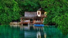 Trees Green House Jamaica