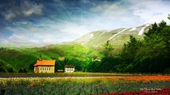 Trees Green natural forests