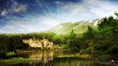 Trees Green natural forests