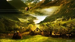 Trees Green natural forests