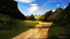 Trees Green natural forests