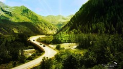 Trees Green natural forests