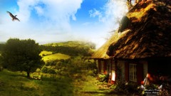 Trees Green natural forests