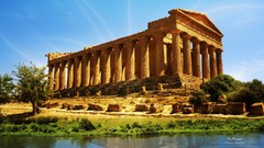 Trees Green natural forests