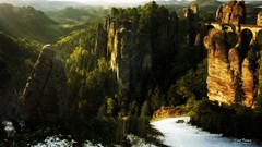 Trees Green natural forests