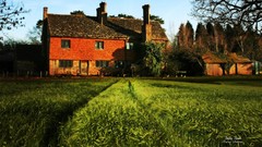 Trees Green natural forests