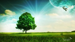 Trees Green natural forests