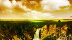 Trees Green natural forests