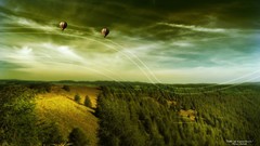 Trees Green natural forests