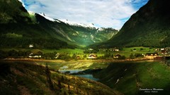 Trees Green natural forests valleys