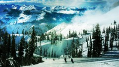 Trees Green natural forests valleys