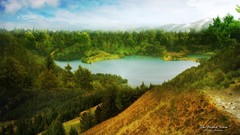 Trees Green natural forests valleys