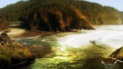 Trees Green natural forests valleys