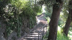 Trees Green stairways genoa