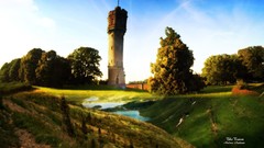 Trees Green tower natural forests