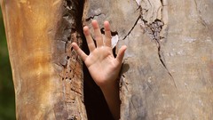 Trees hands