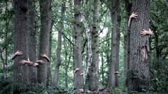Trees hands