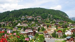 Trees hills architecture buildings