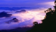 Trees hills mist forests