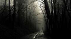 Trees horror roads