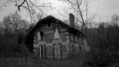 Trees houses grayscale