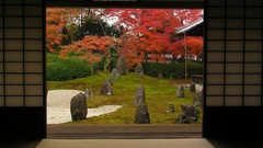 Trees houses Japanese architecture Japanese gardens