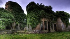 Trees houses natural low-angle shot