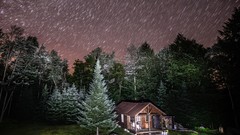 Trees houses night sky