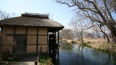 Trees houses rivers nature
