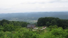 Trees houses scenic skyscapes