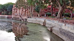 Trees India houses cities rivers stairways