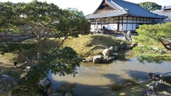 Trees Japan architecture
