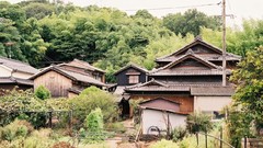 Trees Japan Asia houses cityscapes forests