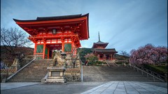 Trees Japan Asia statues Temples David Panevin