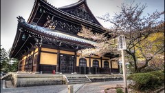 Trees Japan Asia Temples David Panevin