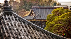 Trees Japan houses Temples asian architecture rooftops