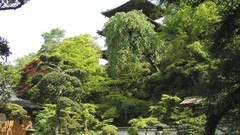 Trees Japan Monastery
