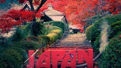 Trees Japan Photoshop Typography architecture cinema 4d